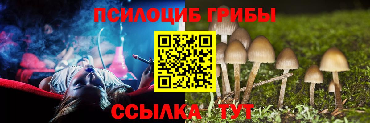 Псилоцибиновые грибы Magic Shrooms  Вход с VPN  Псилоцибиновые грибы Cubensis  Знаменск 